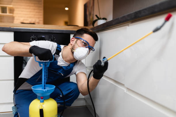 Best Rat Extermination Near Me  in Ho Ho Kus, NJ