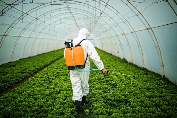 Best Ant Control Services  in Ho Ho Kus, NJ