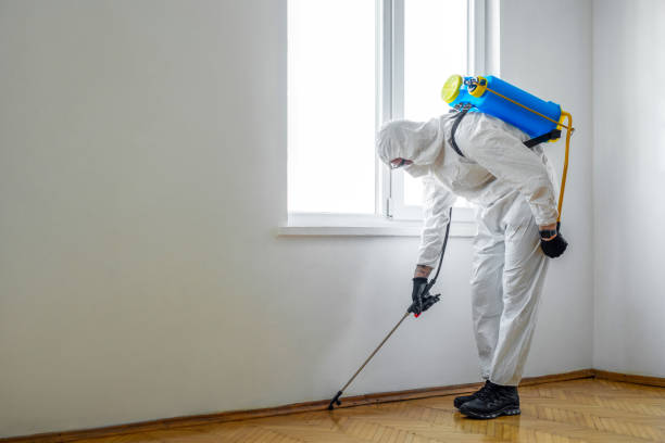 Flea Control Services in Ho Ho Kus, NJ