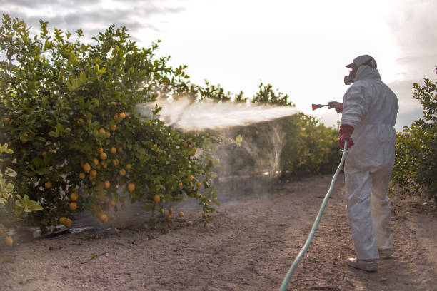 Trusted Ho Ho Kus, NJ Pest Control Experts