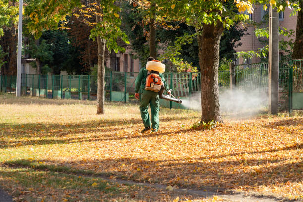 Best Local Pest Control Services  in Ho Ho Kus, NJ
