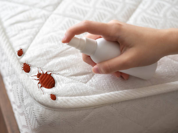 Best Mosquito Control Services  in Ho Ho Kus, NJ