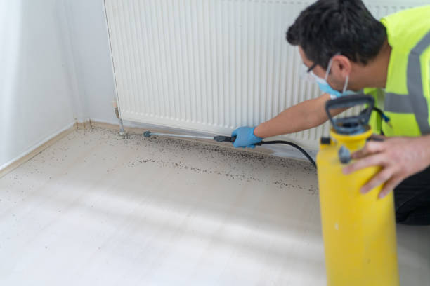 Best Pest Inspection Near Me  in Ho Ho Kus, NJ