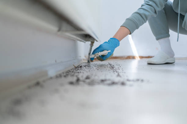 Best Wasp Removal Services  in Ho Ho Kus, NJ