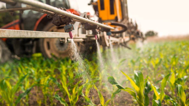 Best Commercial Pest Control Services  in Ho Ho Kus, NJ